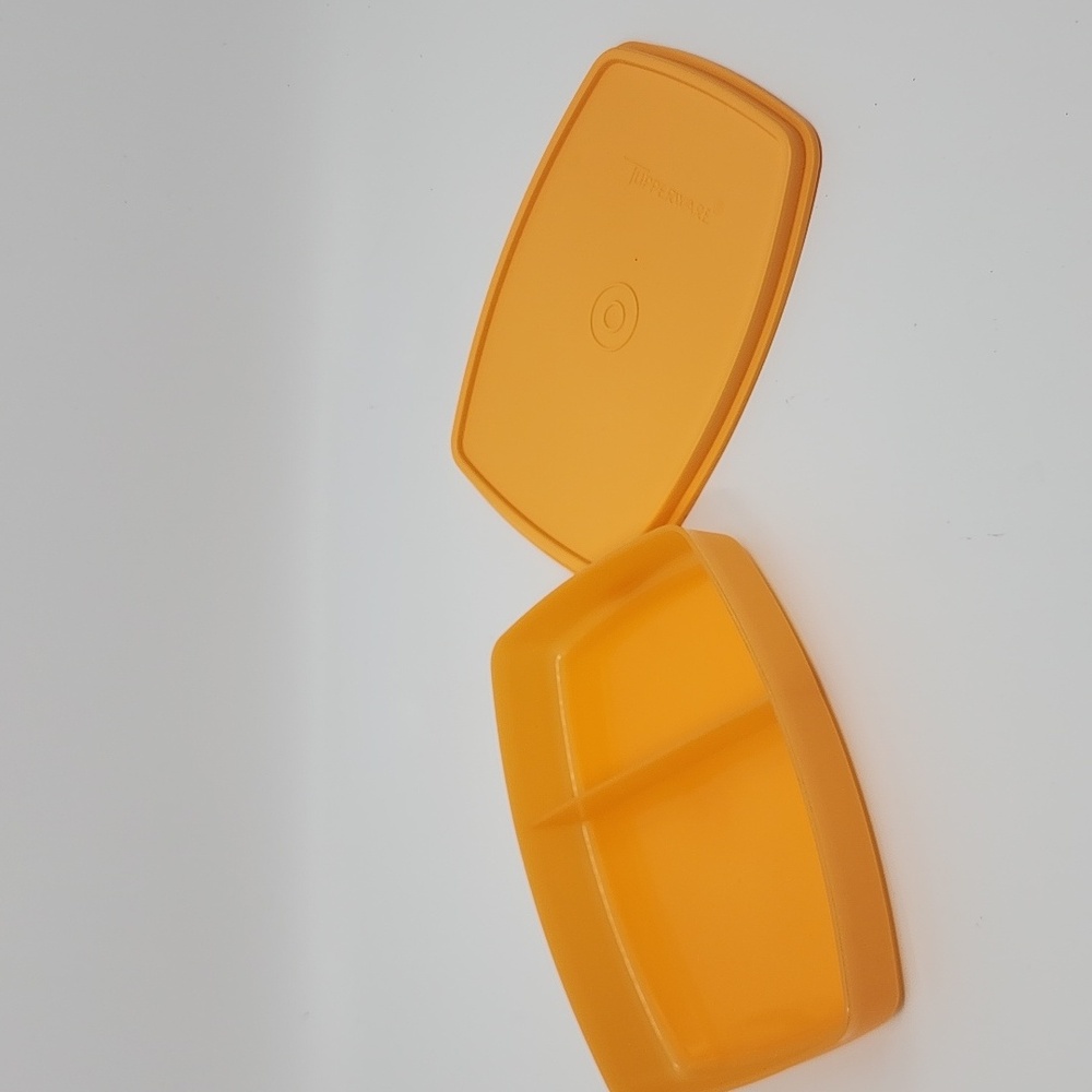 Tupperware Side by Side Container  New